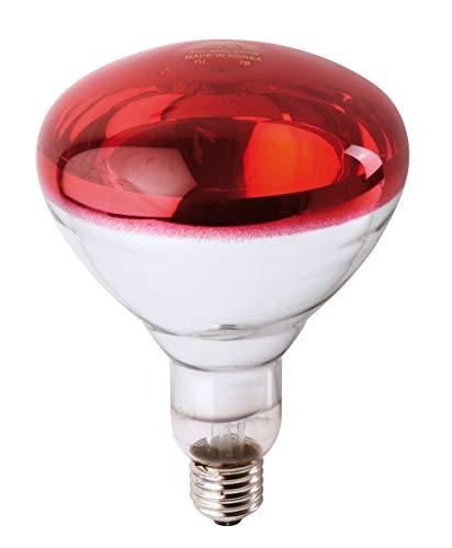 Philips Infrared Industrial Lámpara Reflectora Incandescente de Infrarrojo, Rojo, 150 W