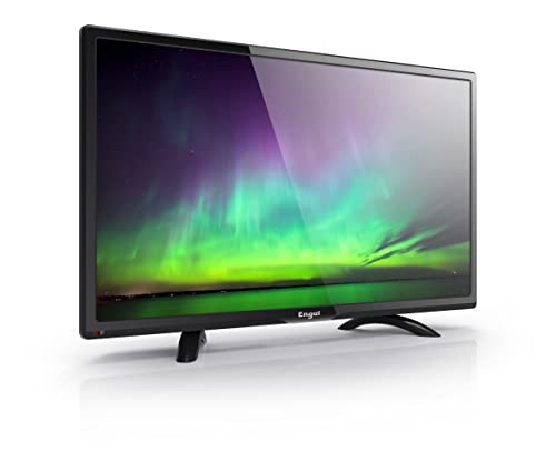 Engel EVERLED - Televisor de 24' FULL HD (USB, PVR, OCA, modo hotel), color negro