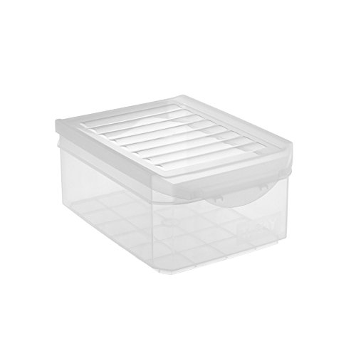 TATAY 1152001 multi-usos caja, tapa para cama individual, 4,5 litros 29 x 19,2 x 12,4 cm de plástico transparente