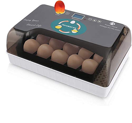 Incubadora Automática de Huevos con Pantalla y Luz de LED Inversión Automática y Control Eficiente e Inteligente de Temperatura y Humedad (12 huevos+LED)
