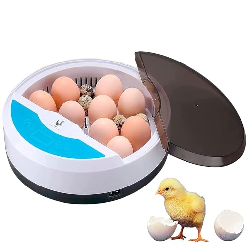 CHIKERS - Incubadora Automática de Huevos Gallina, Aves y Pollos | Incubadora Digital 9/13 Huevos de Polluelos con Control de Temperatura | Perfecta para uso Corral o uso Doméstico | Regalo para Niños
