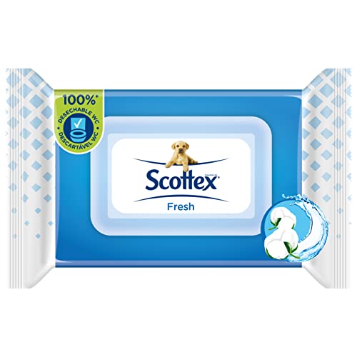 Scottex Fresh Papel Higiénico Húmedo, 74 Toallitas
