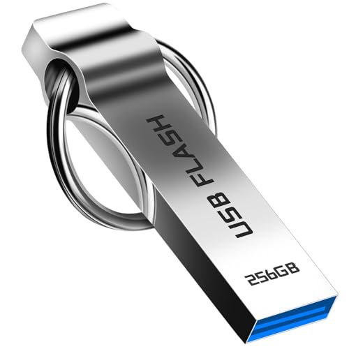 Memoria USB 256 GB - camcise Pendrive Impermeable USB 3.0 Pen Drive Metal Plug-and-Play USB Flash Drive para Ordenadores, Tabletas, con Llavero Portátil (256gb)