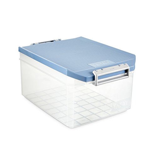 Tatay Caja Almacenaje Multiusos con Tapa, 14 L de Capacidad, Con Asas, de Polipropileno, Libre de BPA, Azul Paloma, Medidas 27 x 39 x 19 cm