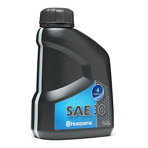 ACEITE 4T SAE 30 0,6L