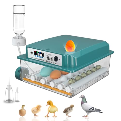 Hethya Incubadora Huevos Gallina, Incubadora de 12-16 Huevos, Incubadora Automática con Volteo Automático de Huevos, Añadir Agua Automáticamente y Lámparas de Huevo