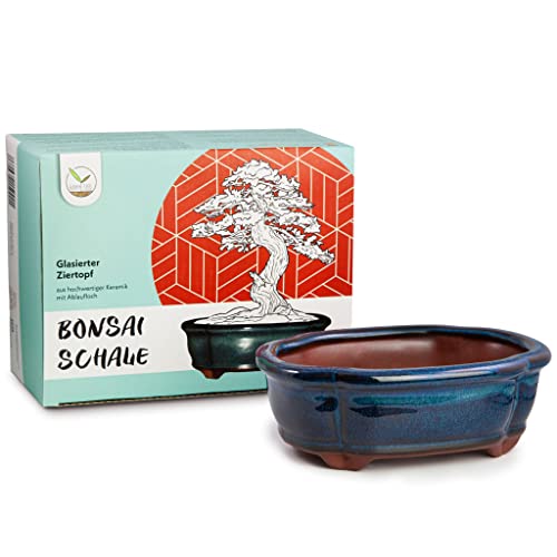 Maceta para bonsái (pequeña) de cerámica en Azul Marino - Maceta para bonsái Redondeada presentación de su bonsái de Interior - 15 x 5,5 x 11 cm