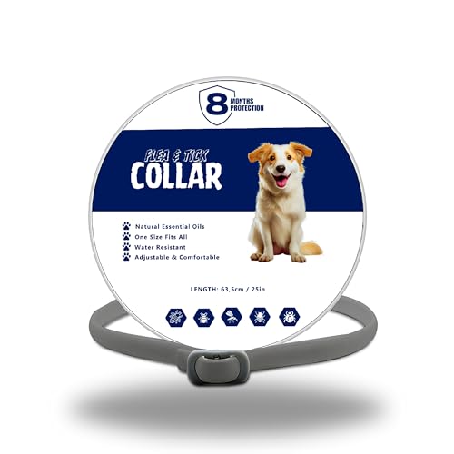 Collar Antiparasitario Perros - Collar contra Pulgas y Garrapatas para Perros y Gatos, 8 Meses de Protección, Collar Antipulgas de 63.5cm para Mascota Pequeño Mediano Grande (Gris)