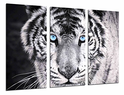Cuadros Cámara Cuadro Fotográfico Tigre Blanco y Negro, Ojos Azules, Animales, 97 x 62 cm XXL, Multicolor