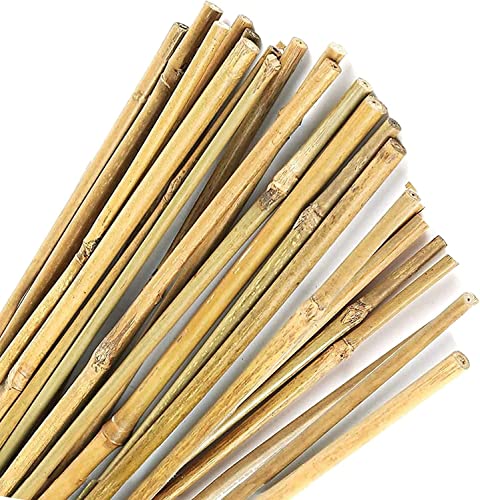 Varillas de Bambú Naturales Ecológicas. 30 Estacas para Uso Agrícola y Huertos Domésticos. Tutores para Tomateras y Otras Plantas. (120 cm (10-12 mm diámetro))