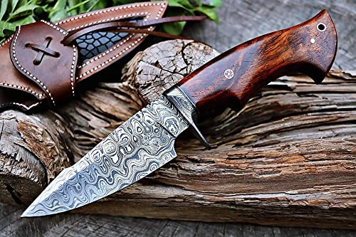 BIGCAT ROAR 25.4 cm Cuchillo de caza de Damasco hecho a mano con funda de cuero - Ideal para desollar, acampar - EDC Cuchillo de hoja fija con mango de madera de nogal - Predator Hunter