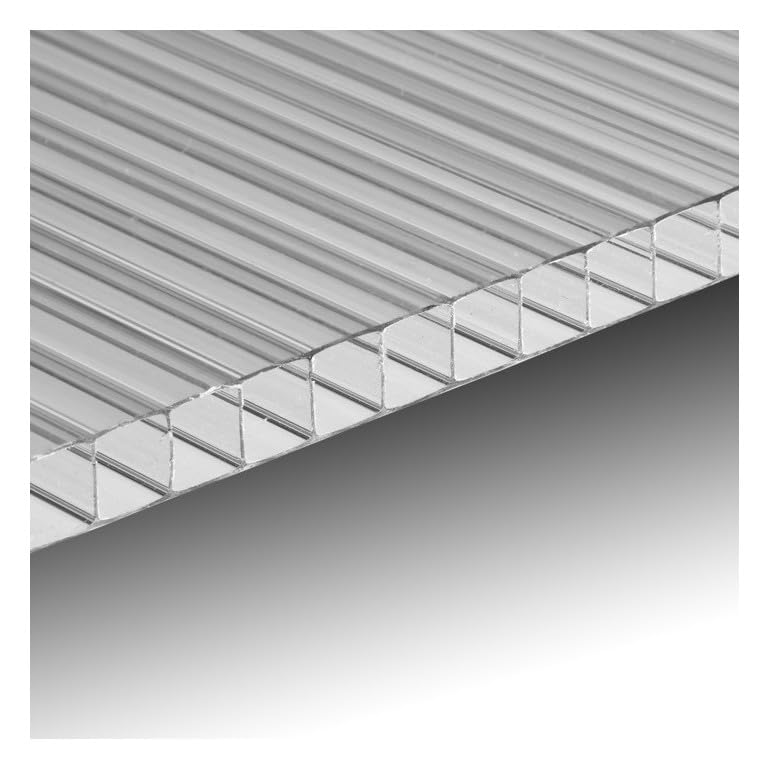 ezooza - Panel de policarbonato alveolar de doble pared, 200 x 98 cm, 10 mm de grosor, transparente