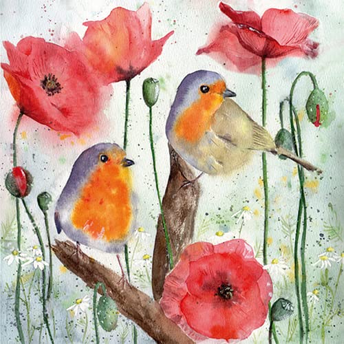 20 servilletas con diseño de pájaros y amapolas, animales, flores, verano, decoración de mesa, 33 x 33 cm