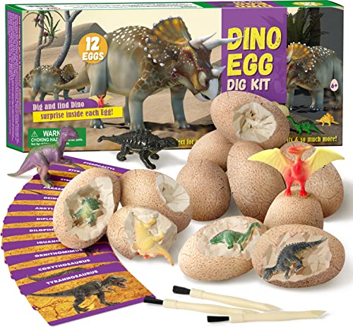 Byncceh Huevos de Dinosaurio Juego de 12, Descubre 12 Dinosaurios Diferentes, Arqueología, Paleontología, Juguete, Kit de Excavación de Huevos de Dinosaurio