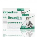 broadline-gatos-amazon
