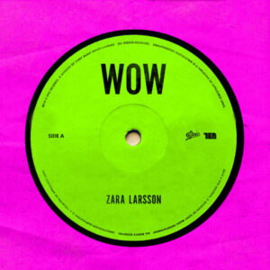 Larsson Wow Zara