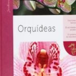 orquideas-carrefour