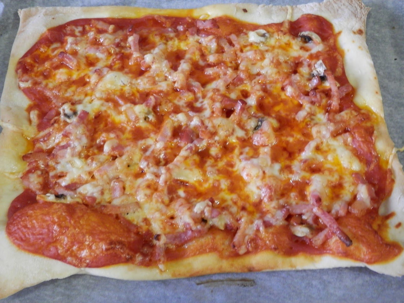 Pizza Panificadora Lidl