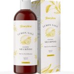 Champú Sin Sulfatos Para Cabello Teñido Champú Sin Sulfatos Para Cabello Teñido