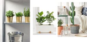 Tiestos Ikea Tiestos Ikea